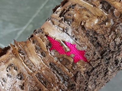 A Stitch in&nbsp;Time?